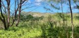 View from easement1